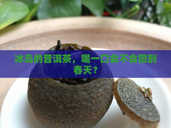 冰岛的普洱茶咋样
