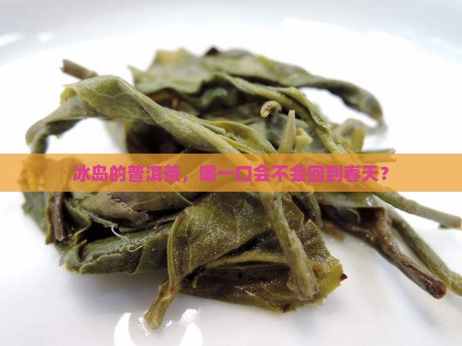 冰岛的普洱茶咋样
