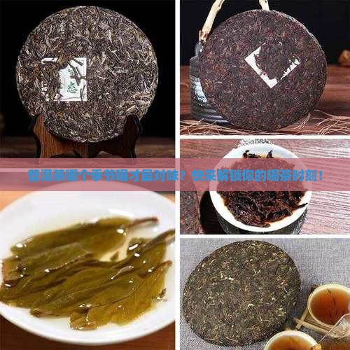 普洱茶什么季节喝的
