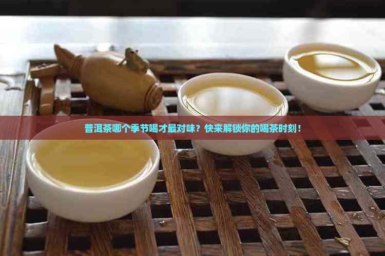 普洱茶什么季节喝的