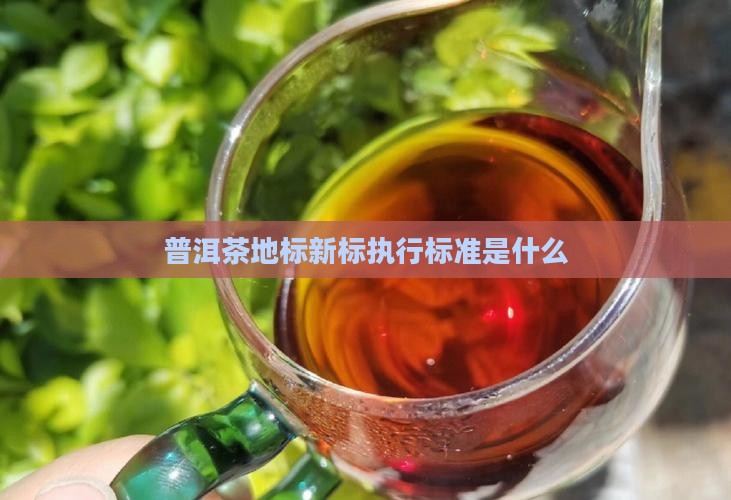 普洱茶地标新标