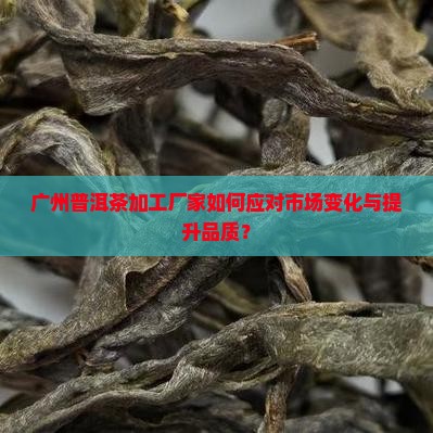 广州普洱茶加工厂家