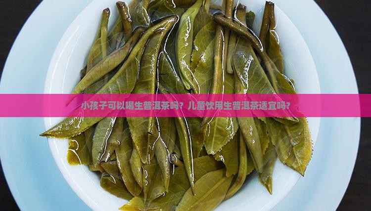 小孩子可以喝生普洱茶
