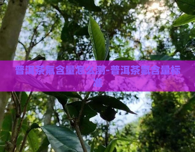 普洱茶氟含量怎么测