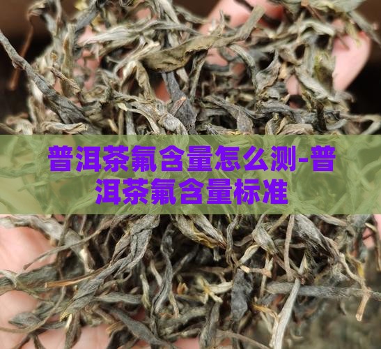 普洱茶氟含量怎么测