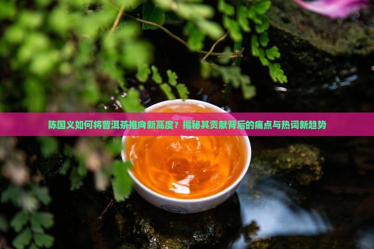 陈国义对普洱茶贡献