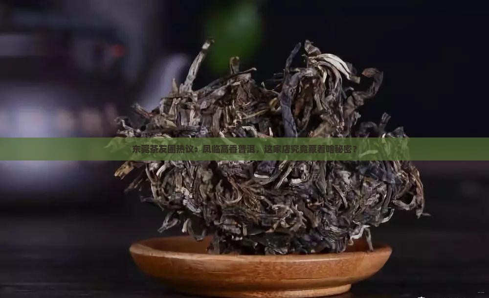 凤临高香普洱茶东莞店