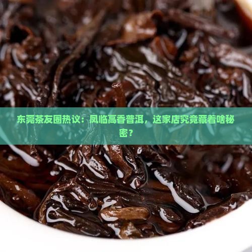 凤临高香普洱茶东莞店