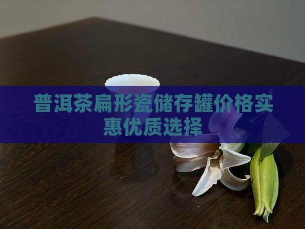 普洱茶扁形瓷储存罐