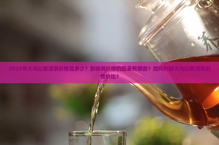 2023年大乌山普洱茶价格