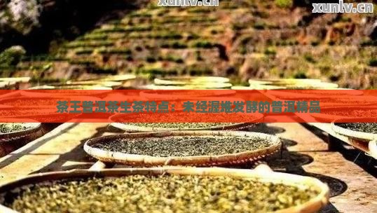 茶王普洱茶生茶特点