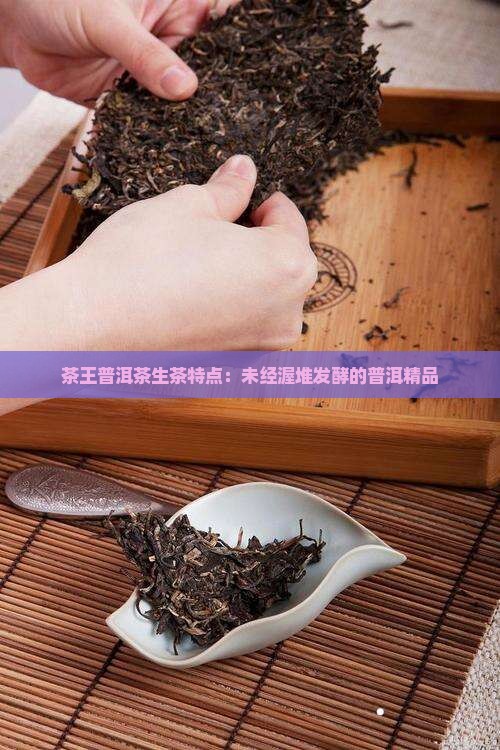 茶王普洱茶生茶特点