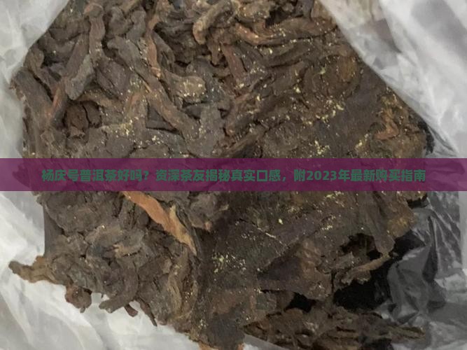 杨庆号普洱茶好吗