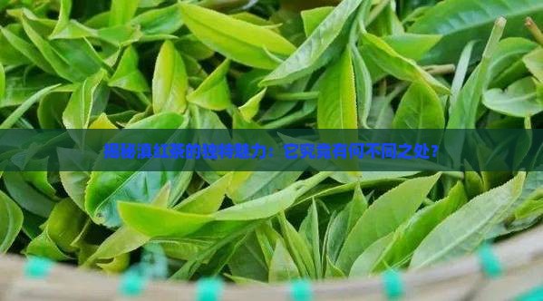 滇红茶的品质特点