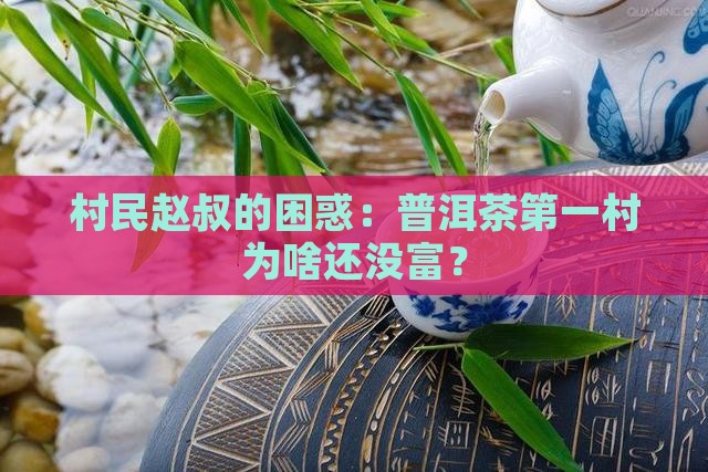 普洱茶第一村赵云川