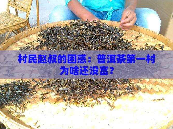 普洱茶第一村赵云川