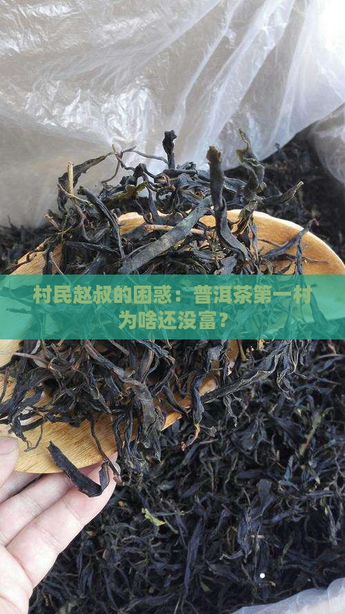 普洱茶第一村赵云川