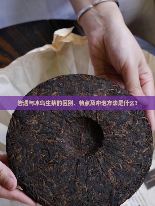 岩遇和冰岛生茶