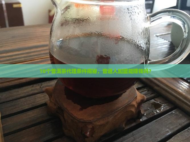 国内知名普洱茶代理条件