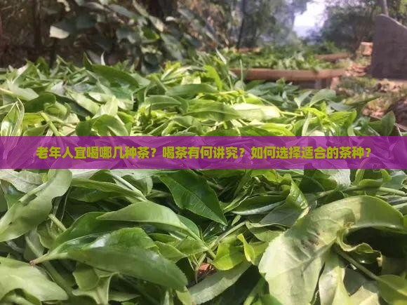 老年人宜喝哪几种茶 老年人宜喝哪几种茶