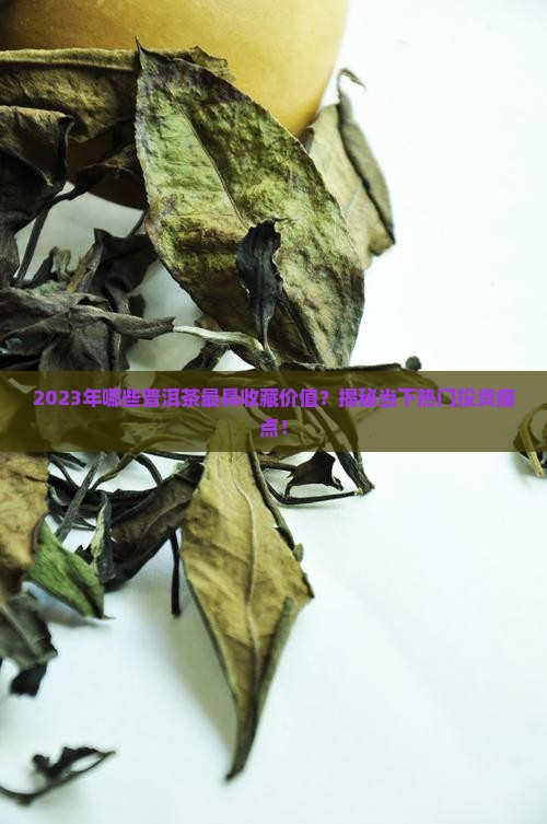 目前最值得购买藏的普洱茶