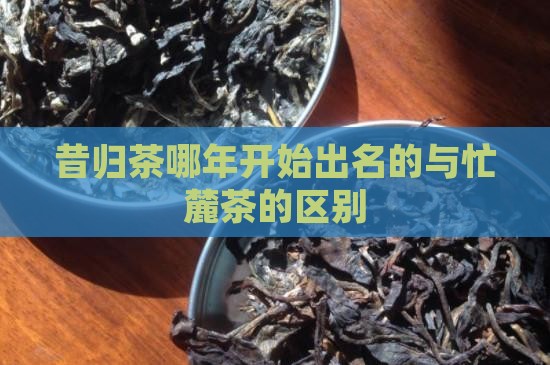昔归茶哪年开始
