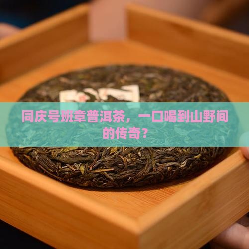 同庆号班章普洱茶