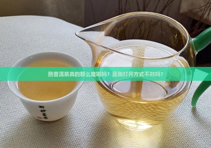 熟普洱茶好难喝啊