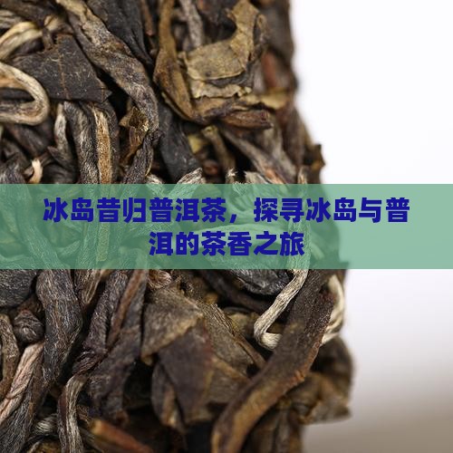 冰岛昔归还有什么茶