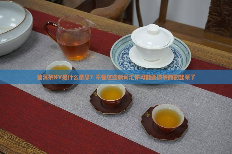 普洱茶XY是什么意思
