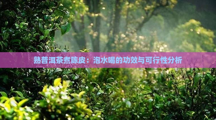 熟普洱茶煮陈皮