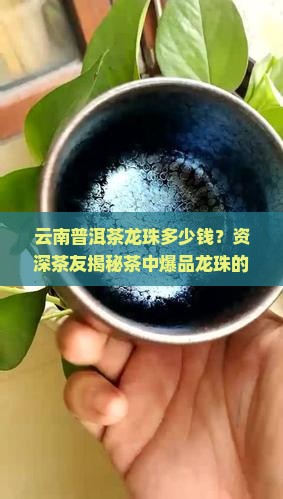 云南普洱茶龙珠多少钱