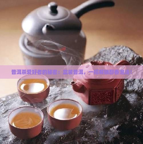 盒装的普洱茶怎么泡