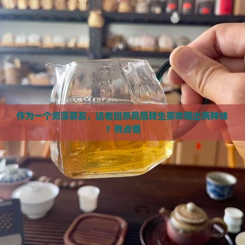 老班章凤凰砖生茶