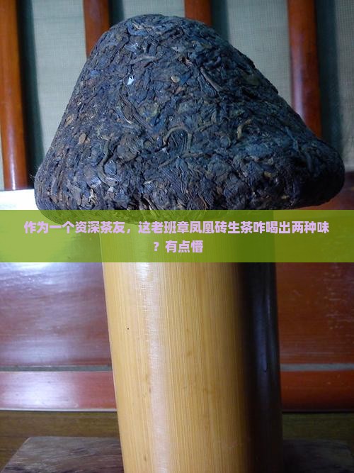老班章凤凰砖生茶