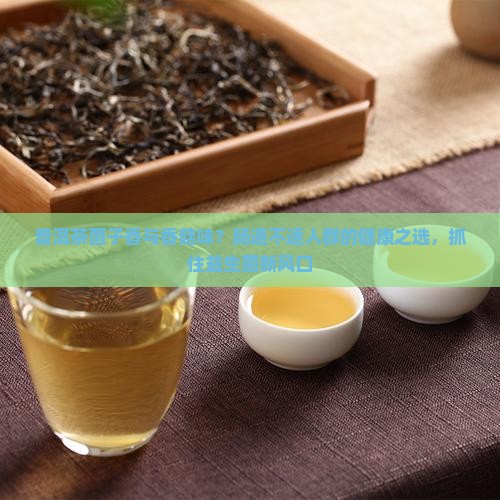 普洱茶菌子香与香菇味