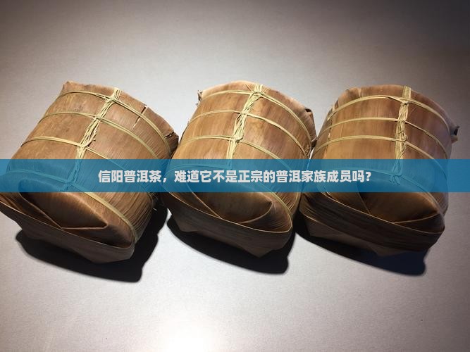 信阳普洱茶是普洱茶吗 信阳普洱茶是普洱茶吗