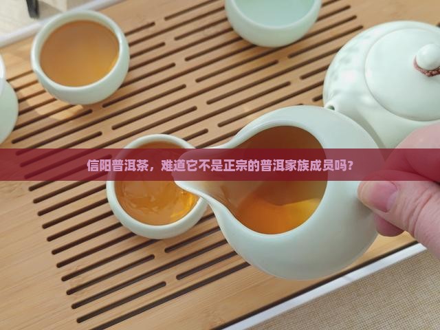 信阳普洱茶是普洱茶吗 信阳普洱茶是普洱茶吗