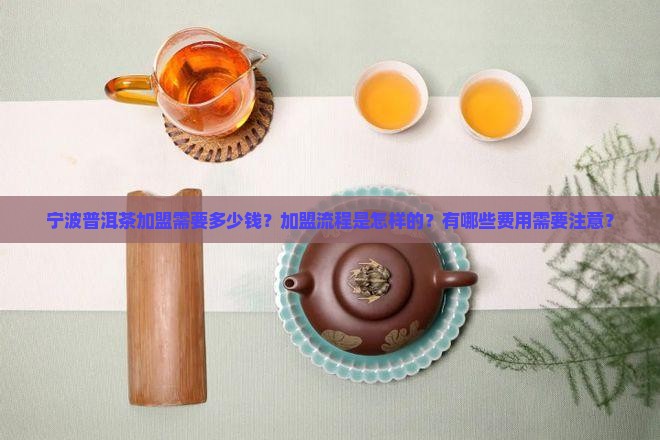 宁波普洱茶如何加盟的价格
