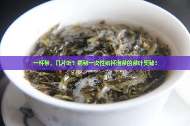 一次性纸杯泡茶放多少茶叶