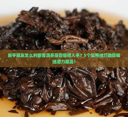 普洱茶买来购买藏吗