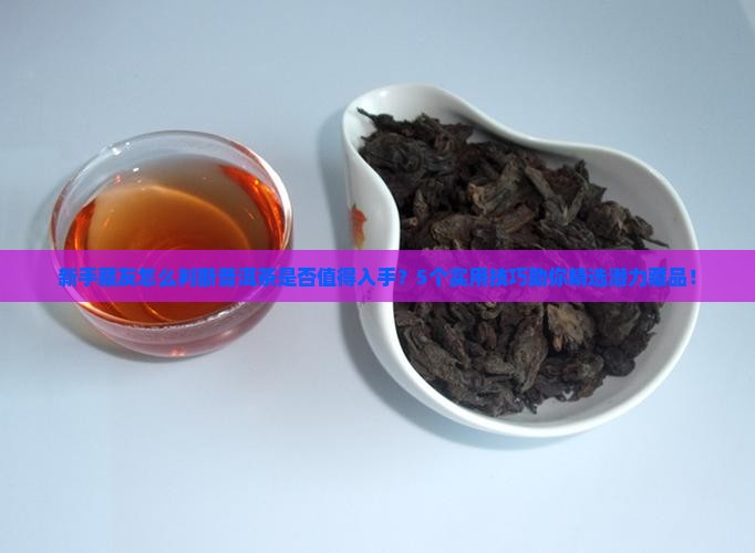 普洱茶买来购买藏吗