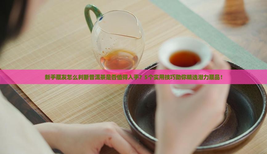 普洱茶买来购买藏吗