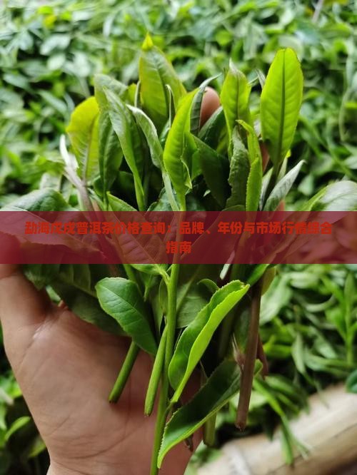 勐海戊戌普洱茶价格查询