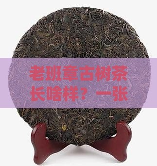 如何辩别老班章古树茶