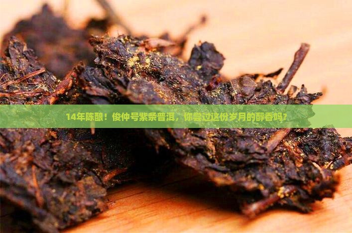 俊仲号14年紫条普洱茶