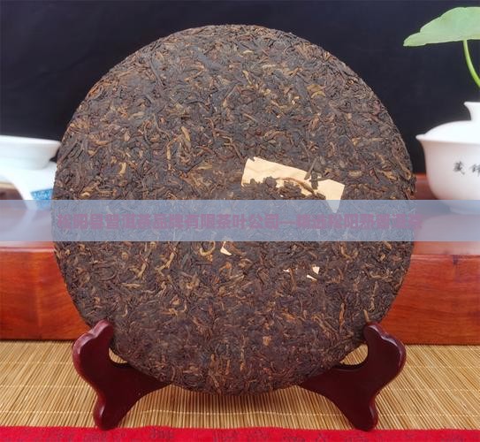 松阳熟普洱茶品牌