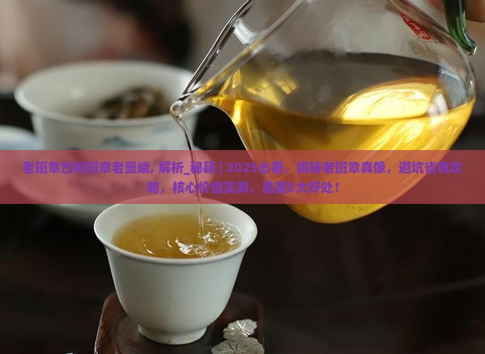 老班章古树班章老曼峨