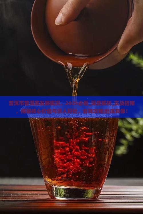 普洱市普洱茶发展概况