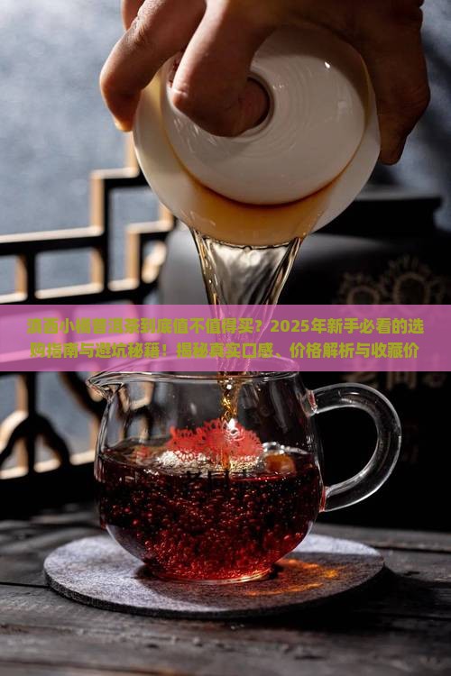 滇西小橘普洱茶